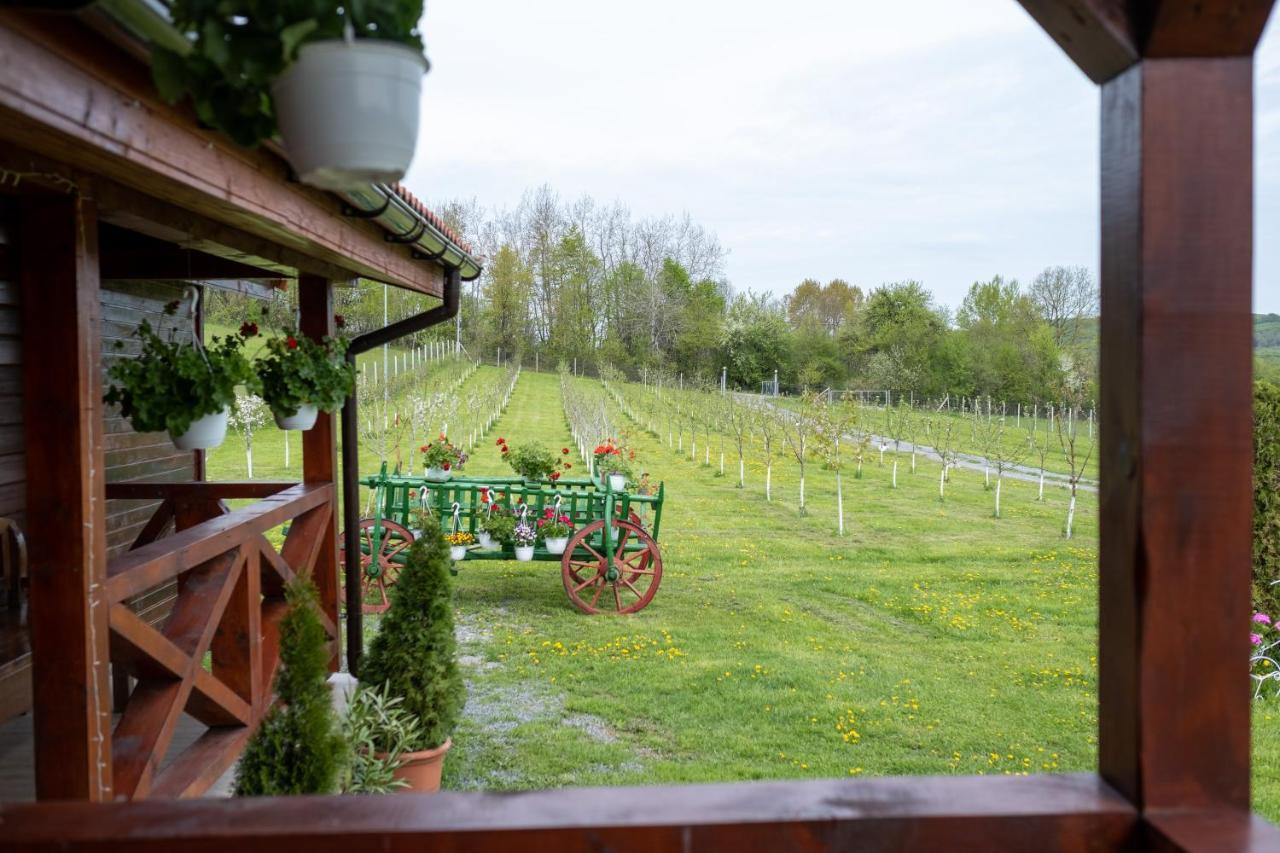 Cabana Dopca Racosu de Jos Экстерьер фото